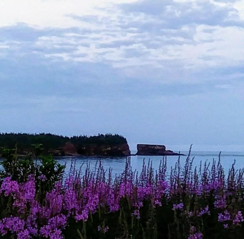 Moore'S Specialties Fundy Bay House Rental Gardner Creek Екстер'єр фото