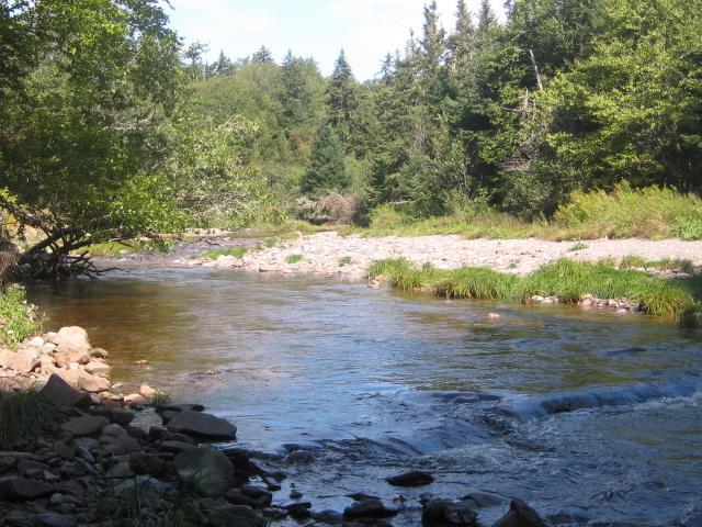 Moore'S Specialties Fundy Bay House Rental Gardner Creek Екстер'єр фото