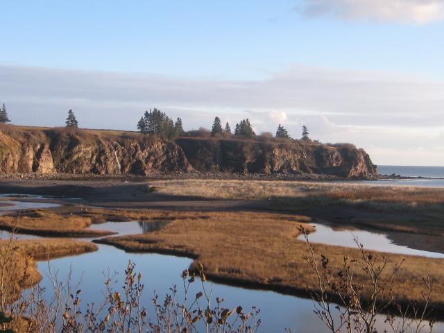 Moore'S Specialties Fundy Bay House Rental Gardner Creek Екстер'єр фото