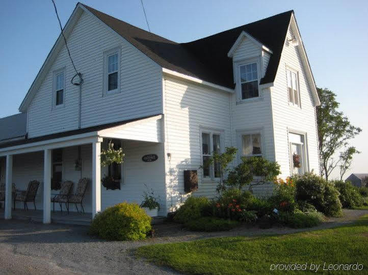 Moore'S Specialties Fundy Bay House Rental Gardner Creek Екстер'єр фото