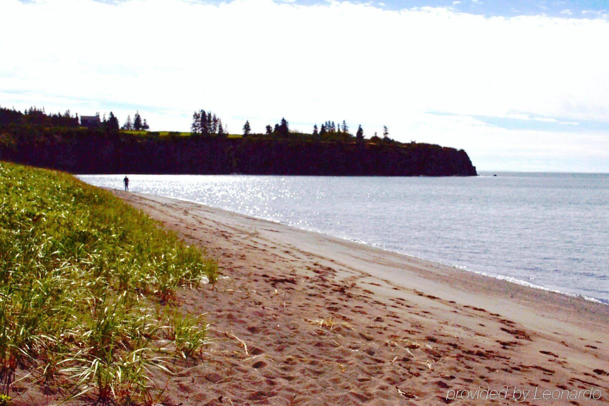 Moore'S Specialties Fundy Bay House Rental Gardner Creek Екстер'єр фото
