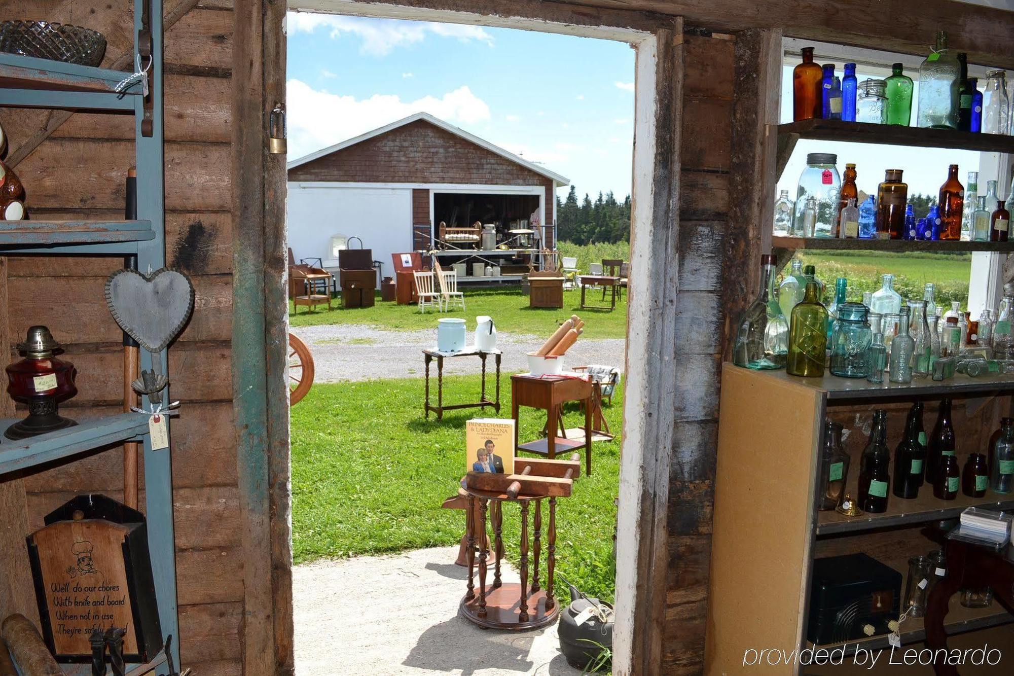 Moore'S Specialties Fundy Bay House Rental Gardner Creek Екстер'єр фото