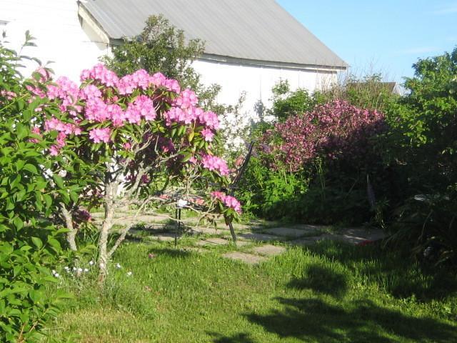 Moore'S Specialties Fundy Bay House Rental Gardner Creek Екстер'єр фото