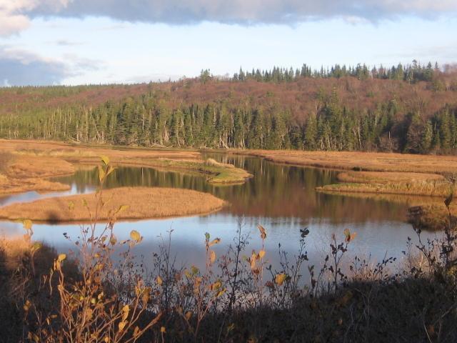 Moore'S Specialties Fundy Bay House Rental Gardner Creek Екстер'єр фото