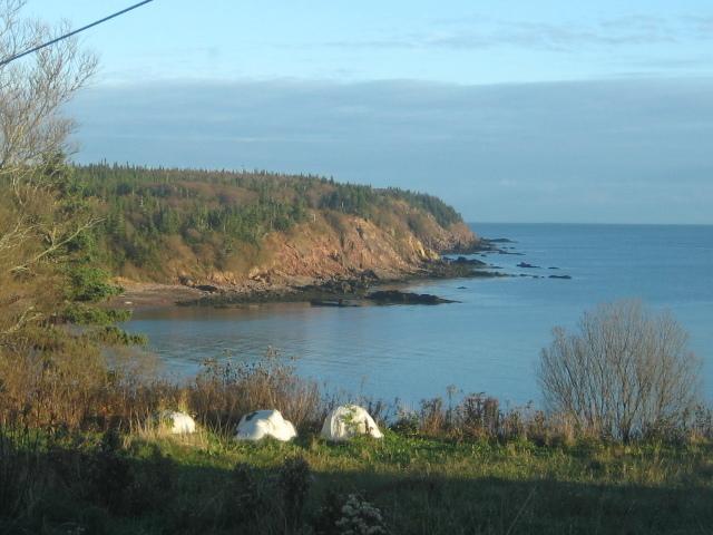 Moore'S Specialties Fundy Bay House Rental Gardner Creek Екстер'єр фото