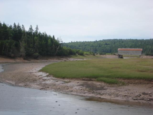 Moore'S Specialties Fundy Bay House Rental Gardner Creek Екстер'єр фото